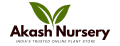 akashnursery.in-India’s Trusted Online Plant Store